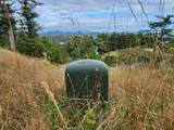  Boot Hill - Photo 12