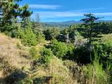  Boot Hill - Photo 13