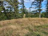  Boot Hill - Photo 6