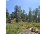 11989 Zion Hill Dr - Photo 10