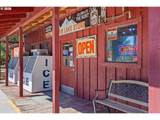 54128 Highway 31 - Photo 4