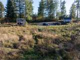 39335 Trout Creek Rd - Photo 4