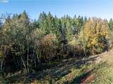 39335 Trout Creek Rd - Photo 7