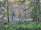  Ranch Dr - Photo 9