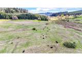 26900 Crow Rd - Photo 7