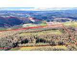 26900 Crow Rd - Photo 8
