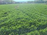 54884 Day Rd - Photo 4