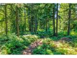 27241 Pederson Rd - Photo 36