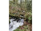 40920 Maple Ridge Rd - Photo 37