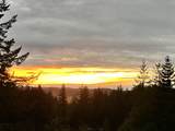 94337 Shelley Ln - Photo 43