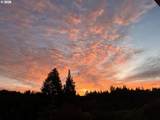 94337 Shelley Ln - Photo 44