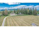 34103 Adler Ln - Photo 46