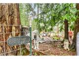 51720 Hayward Rd - Photo 28