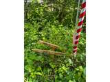 51720 Hayward Rd - Photo 45