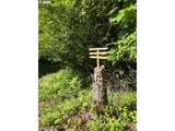 51720 Hayward Rd - Photo 46