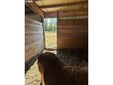 24100 Dejong Rd - Photo 33