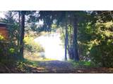 2580 Pony Creek Rd - Photo 4