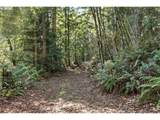  Ringo Rd - Photo 7