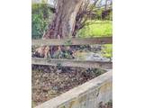 54068 Walla Walla River Rd - Photo 25