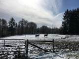 14630 Livesay Rd - Photo 32