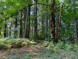 39143 Gibson Rd - Photo 24