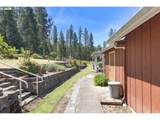 3301 Colonial Rd - Photo 34