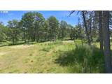 3301 Colonial Rd - Photo 37