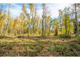  Siuslaw River Rd - Photo 11