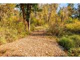  Siuslaw River Rd - Photo 14