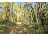  Siuslaw River Rd - Photo 15