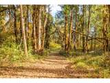  Siuslaw River Rd - Photo 16
