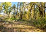  Siuslaw River Rd - Photo 7