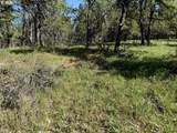 2215 Pine Oak Rd - Photo 33
