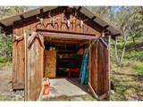 2215 Pine Oak Rd - Photo 35