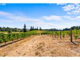 21358 Oak Ln - Photo 41