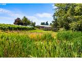 21358 Oak Ln - Photo 43