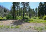 91303 Blue River Rd - Photo 13