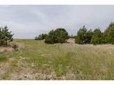11119 Pacific Way - Photo 9