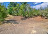  Forest Ridge - Photo 8