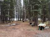 80 Diamond Lake Loop - Photo 32