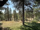 43 Wanna B A Ranch Rd - Photo 26