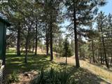 43 Wanna B A Ranch Rd - Photo 27