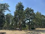 43 Wanna B A Ranch Rd - Photo 30