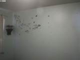 877 Pacific Ave - Photo 11