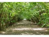 30248 Barlow Rd - Photo 7