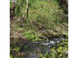 3660 Carnes Rd - Photo 44