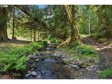 34430 Coupland Rd - Photo 39