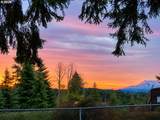 33265 Colorado Rd - Photo 44