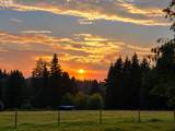 33265 Colorado Rd - Photo 45