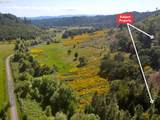 11896 Dupee Valley Rd - Photo 16